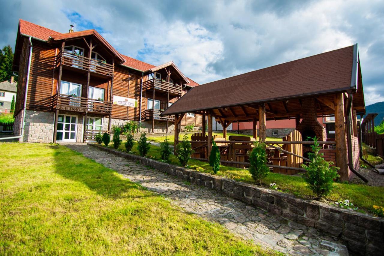 Silver Villa BaileTusnad Exterior photo